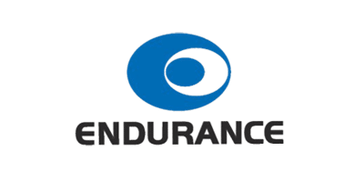 Logo Item