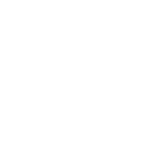 icon22