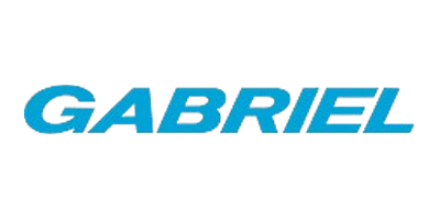 Logo Item